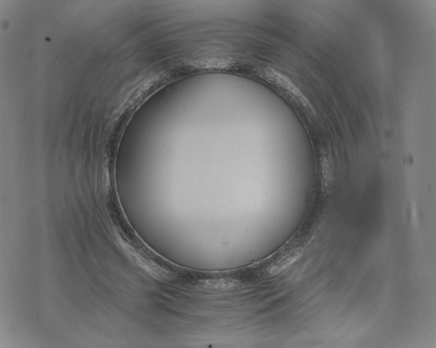 X0000076310541200610161621