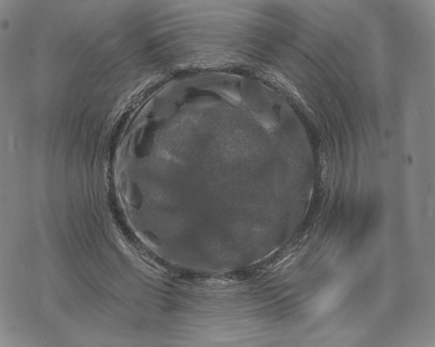 X0000076310542200610161621