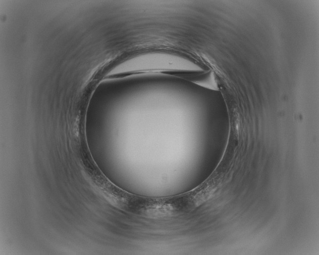 X0000076310543200610161621