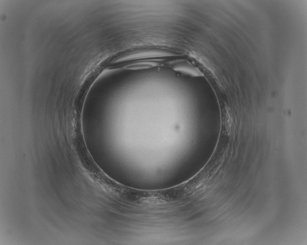 X0000076310544200610161621