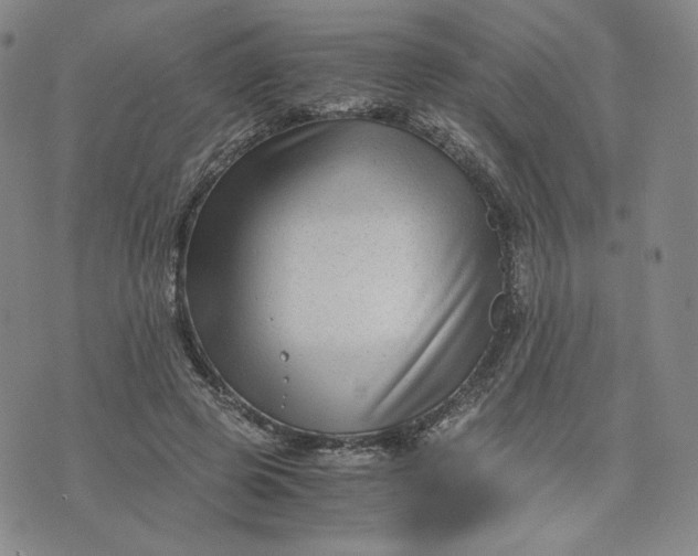 X0000076310545200610161621