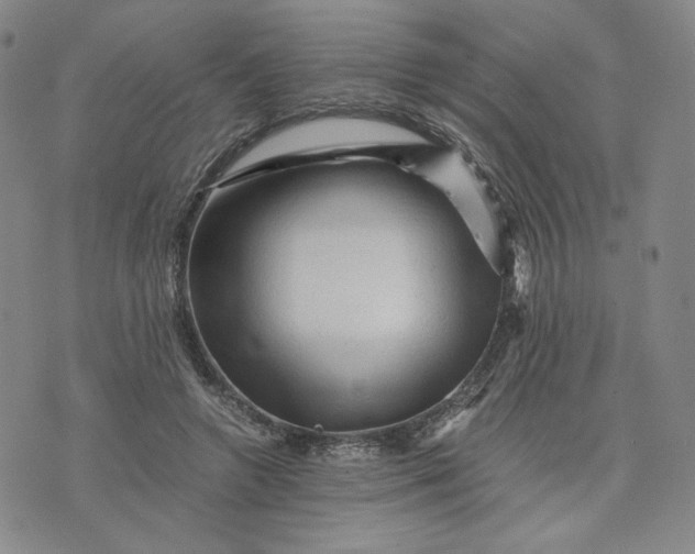 X0000076310546200610161621