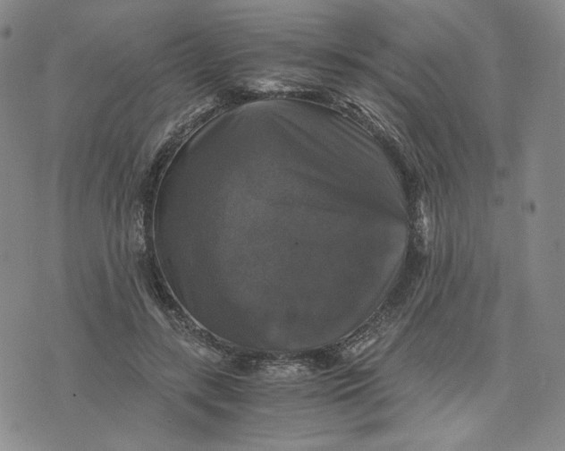 X0000076310547200610161621