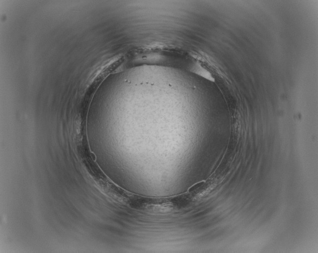 X0000076310548200610161621