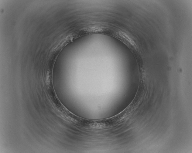 X0000076310549200610161621