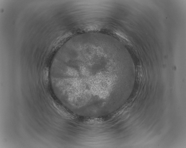 X0000076310550200610161621