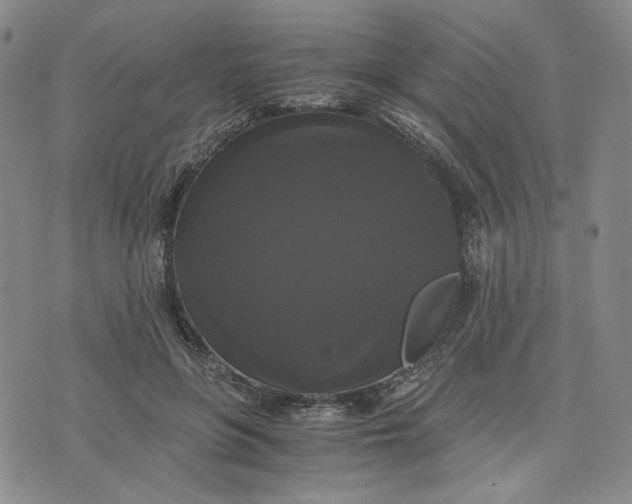 X0000076310551200610161621