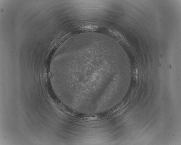 X0000076310552200610161621