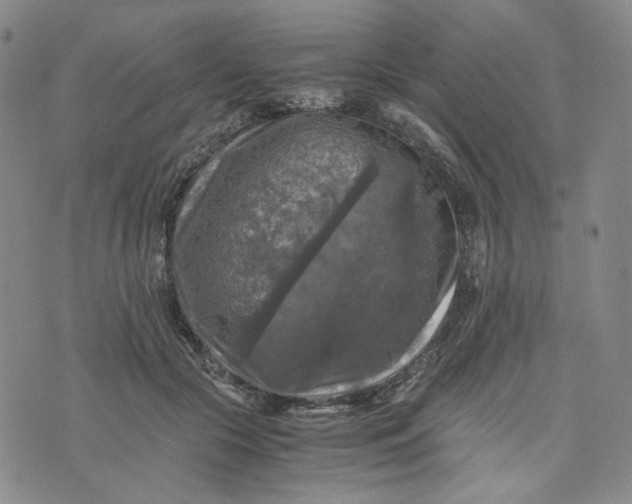 X0000076310553200610161621