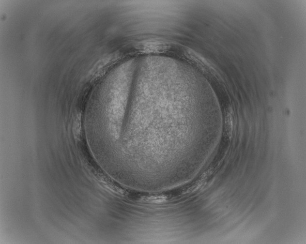 X0000076310554200610161621