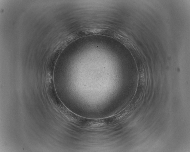 X0000076310555200610161621