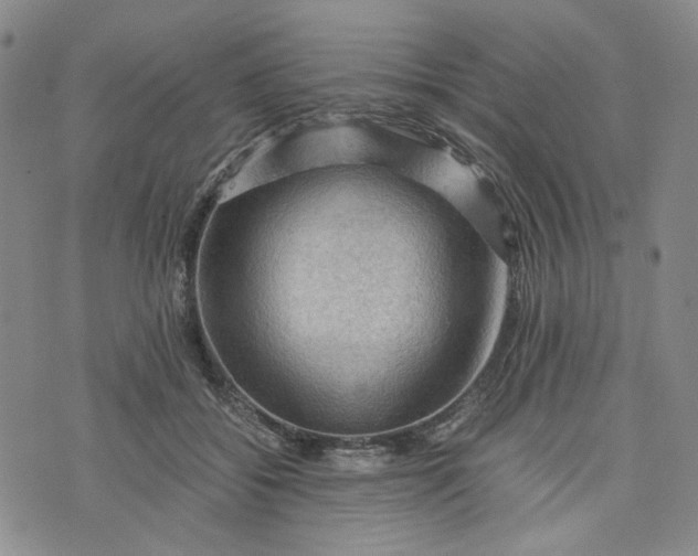 X0000076310556200610161621