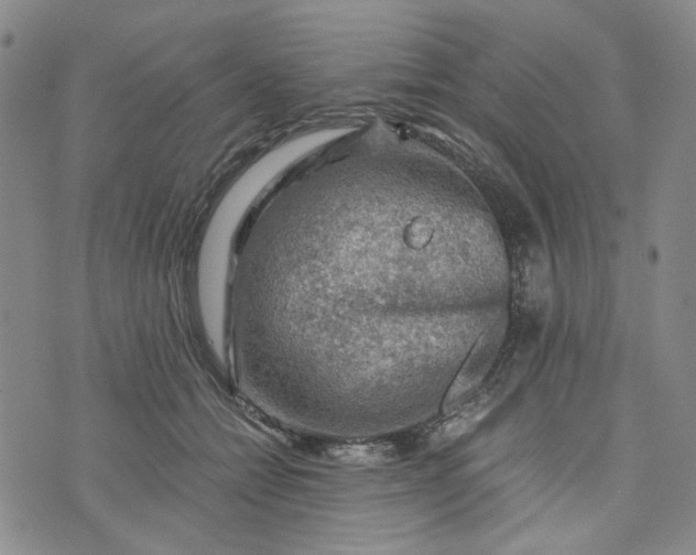 X0000076310558200610161621