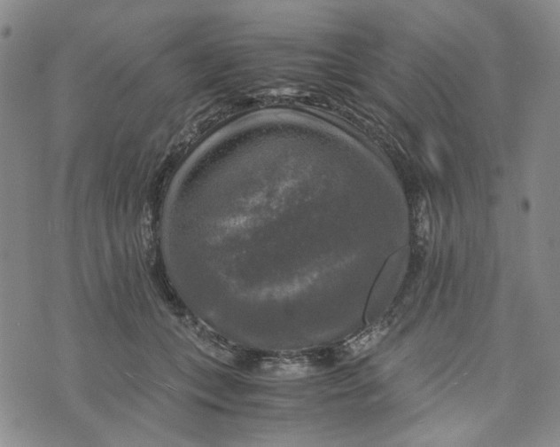 X0000076310559200610161621