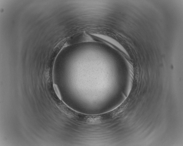 X0000076310560200610161621