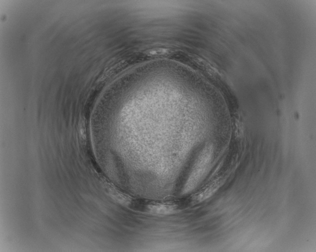 X0000076310561200610161621