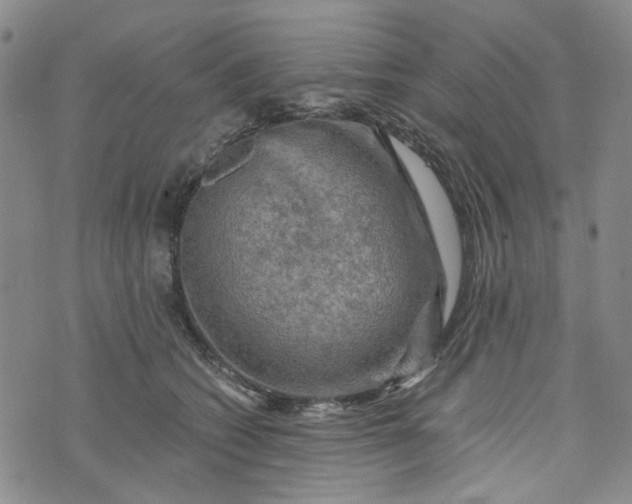 X0000076310562200610161621