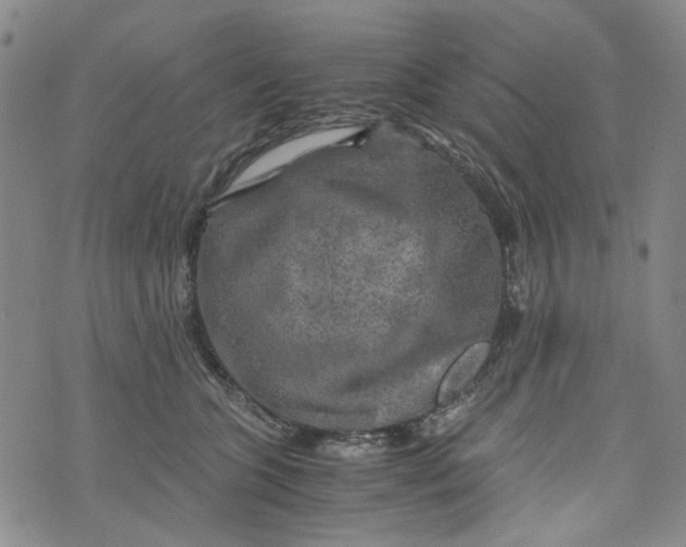 X0000076310563200610161622