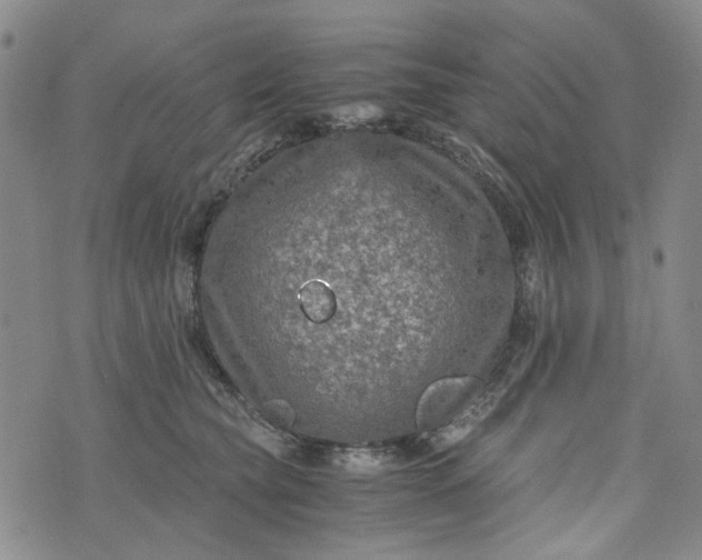 X0000076310565200610161622