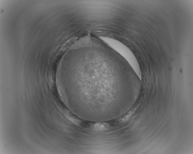 X0000076310566200610161622