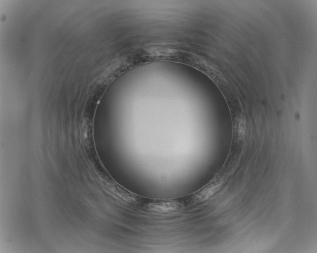 X0000076310567200610161622