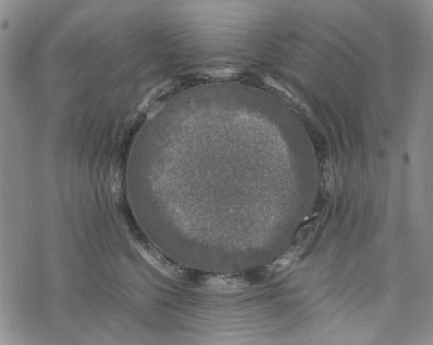 X0000076310568200610161622