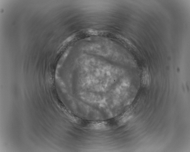 X0000076310569200610161622