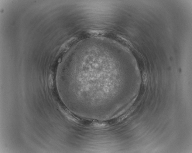 X0000076310570200610161622