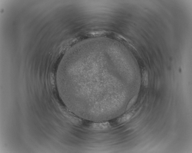 X0000076310571200610161622