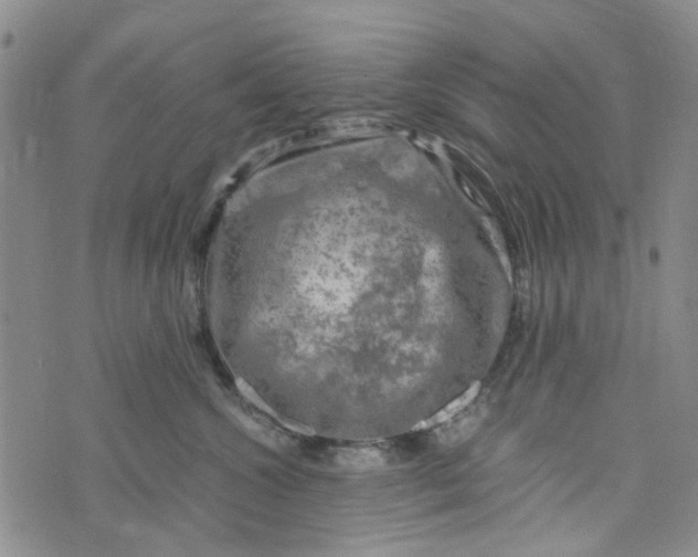 X0000076310572200610161622