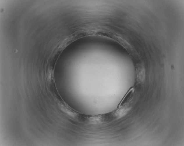 X0000076310574200610161622