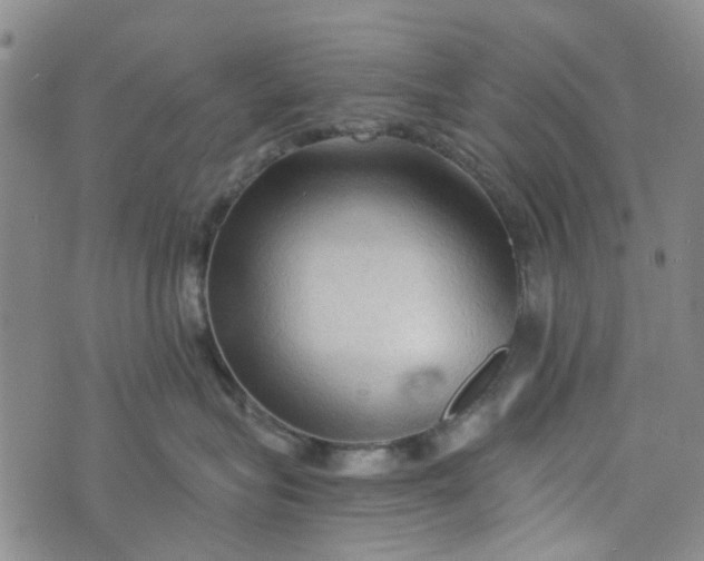 X0000076310575200610161622