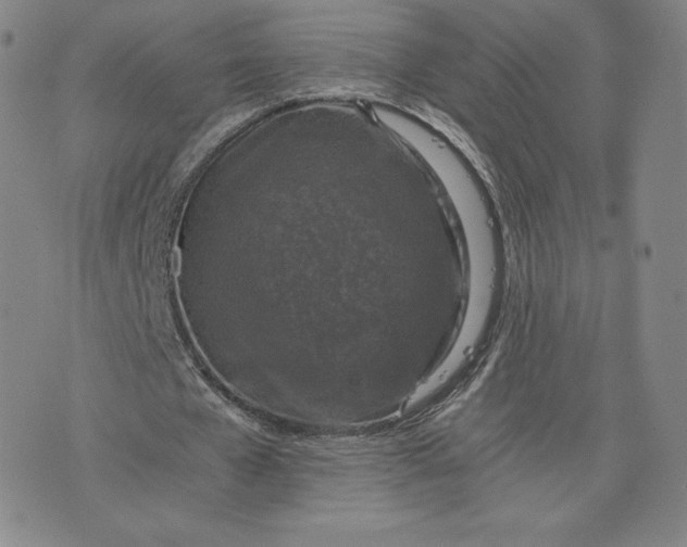 X0000076310577200610161621