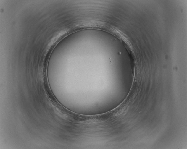 X0000076310578200610161621