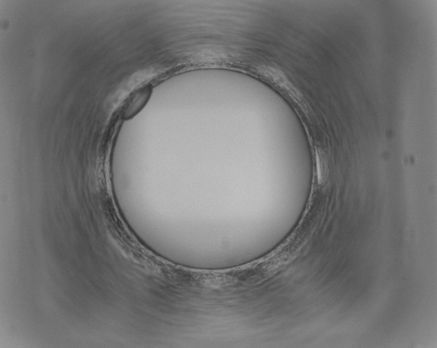 X0000076310579200610161621