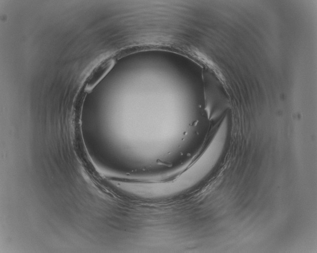 X0000076310580200610161621