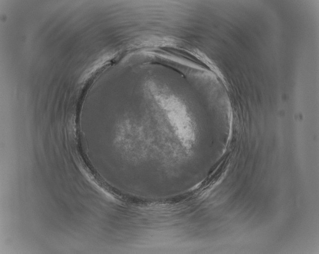 X0000076310581200610161621