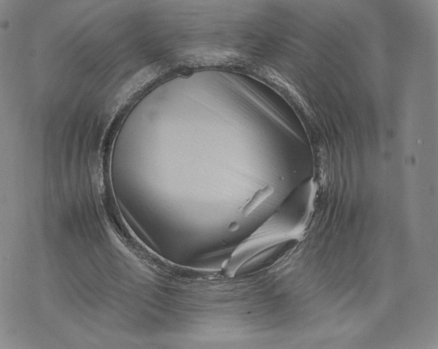 X0000076310582200610161621