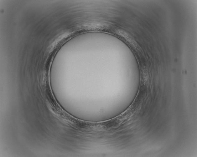 X0000076310583200610161621