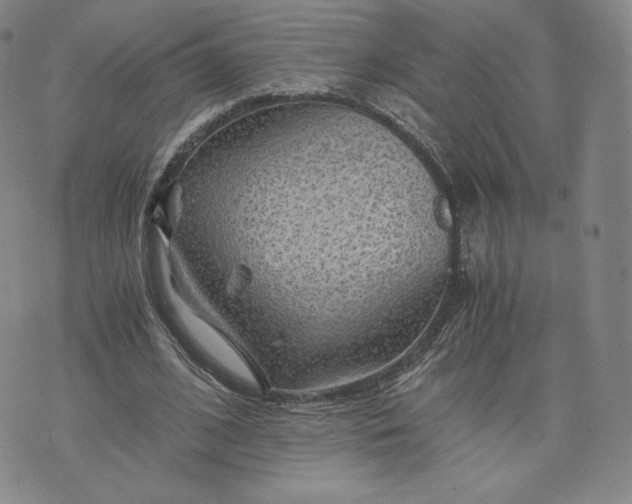 X0000076310584200610161621