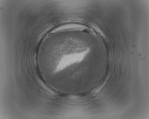 X0000076310585200610161621