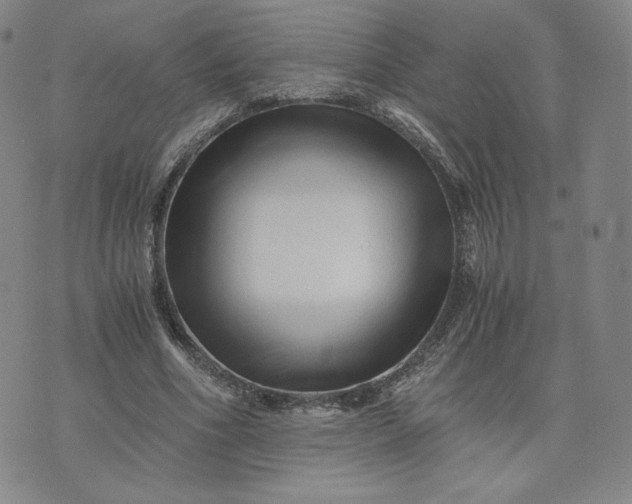 X0000076310586200610161621