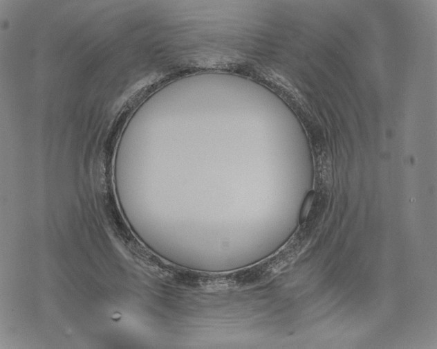 X0000076310587200610161621