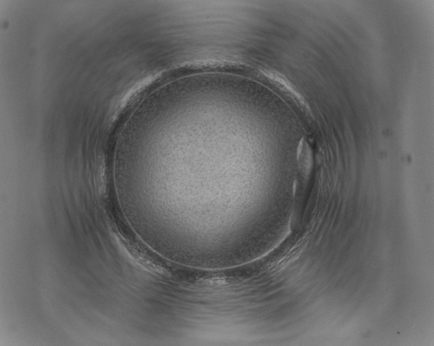 X0000076310588200610161621