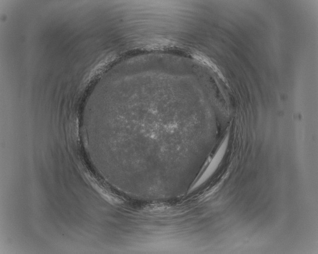 X0000076310589200610161621