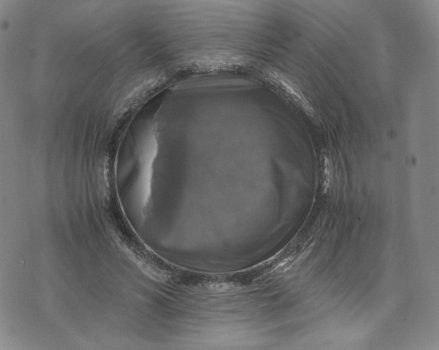 X0000076310590200610161621