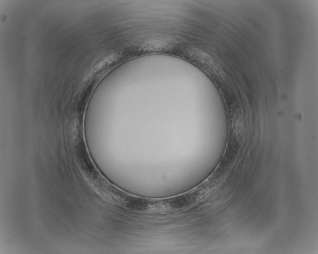 X0000076310591200610161621