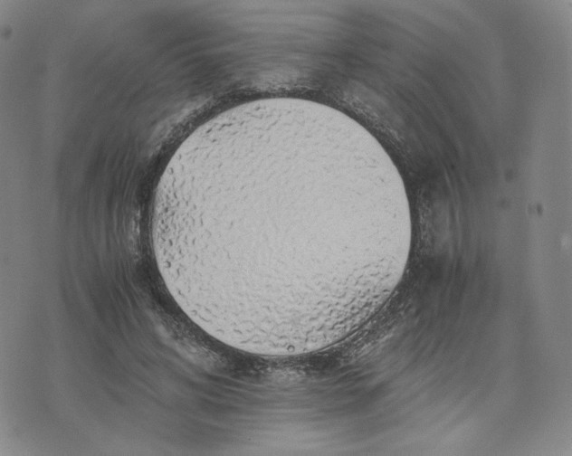 X0000076310592200610161621