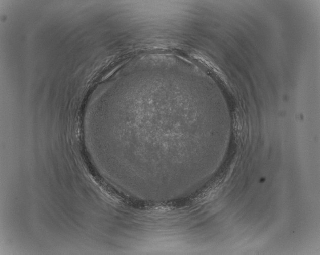 X0000076310593200610161621