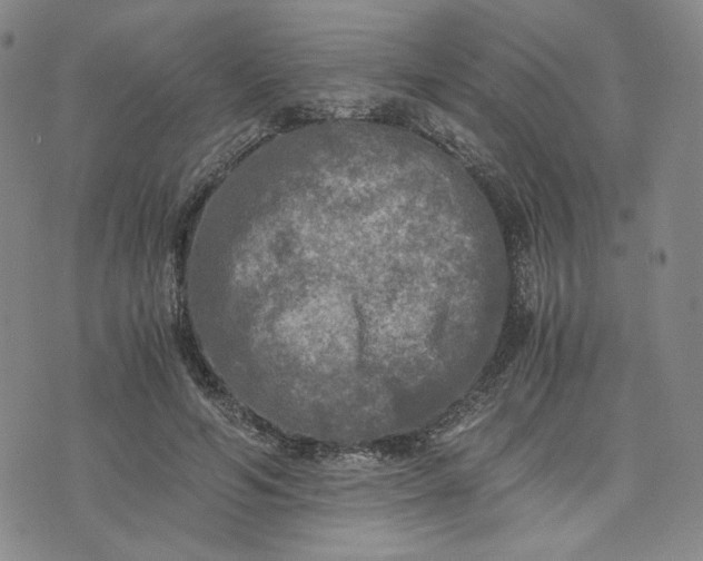 X0000076310594200610161621